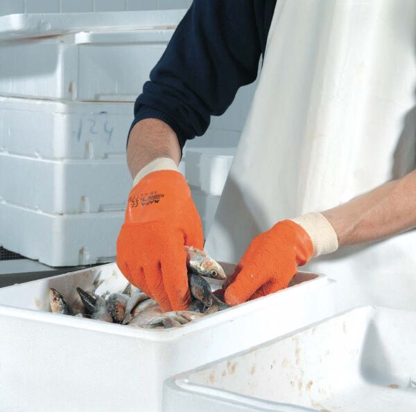 MAPA HARPON 319 NO: 9 / 9,5